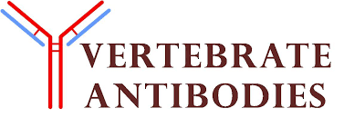 VERTEBRATE ANTIBODIES LTD VERTEBRATE ANTIBODIES LTD